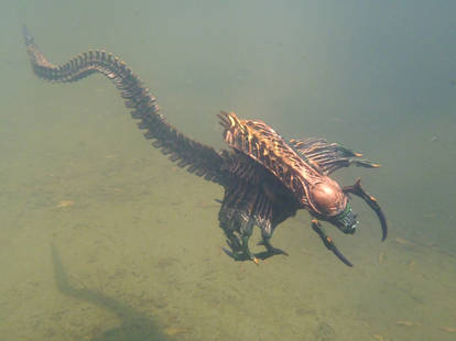 Explore the Best Snakexenomorph Art | DeviantArt