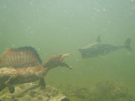 Encounter of hunters...