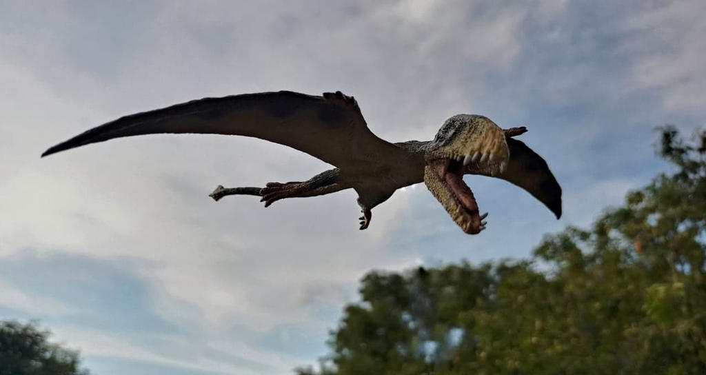 Dimorphodon by Krulos on DeviantArt