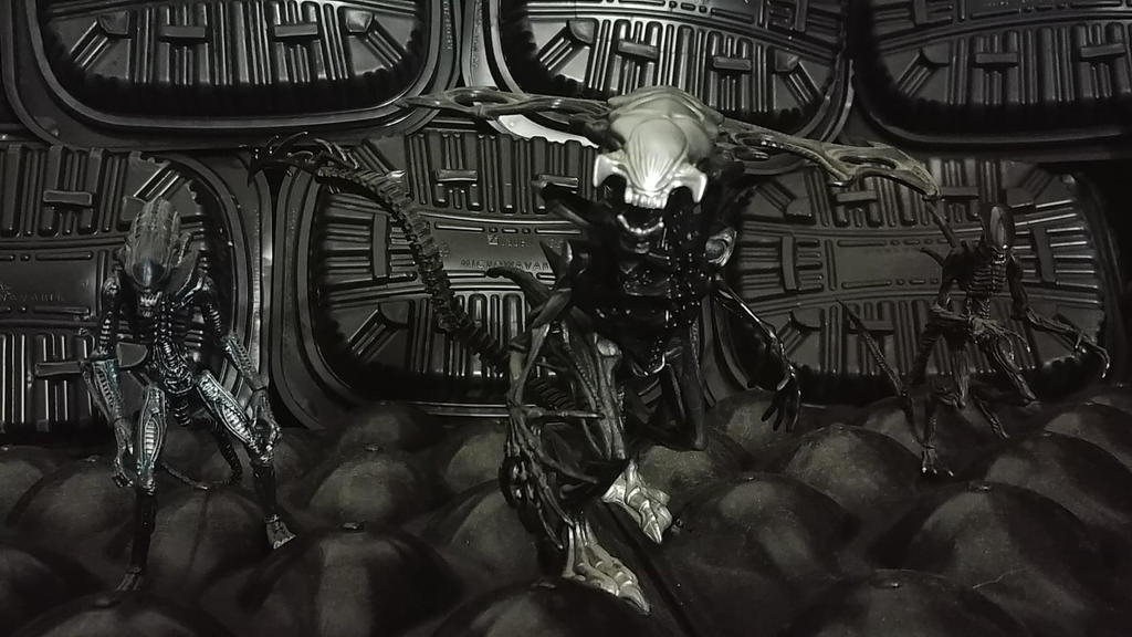 Xenomorph Alien King by Krulos on DeviantArt