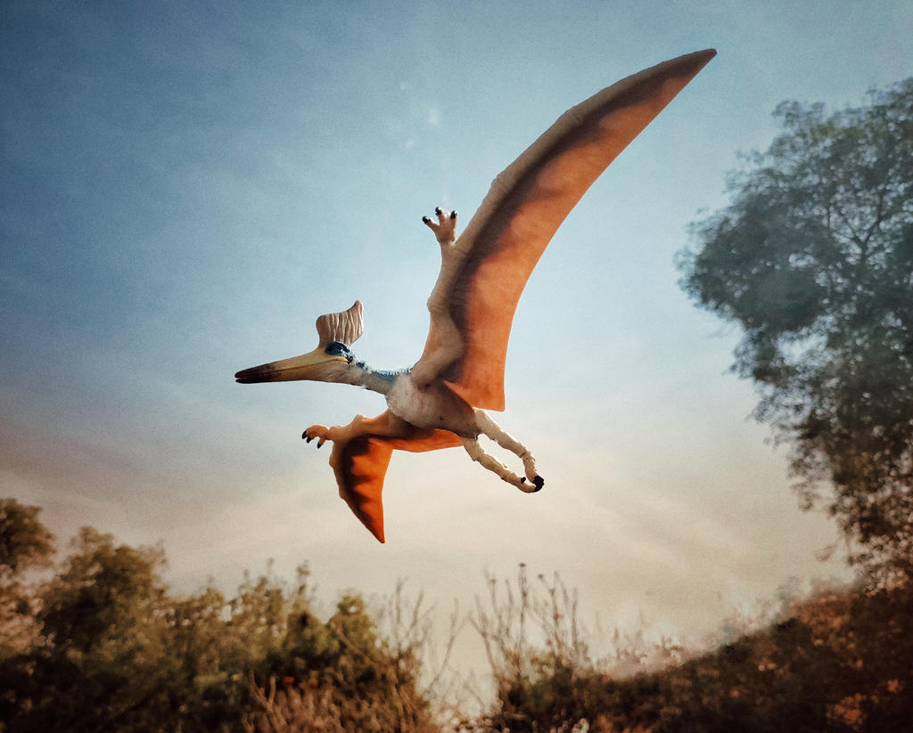 Geosternbergia... by Krulos on DeviantArt