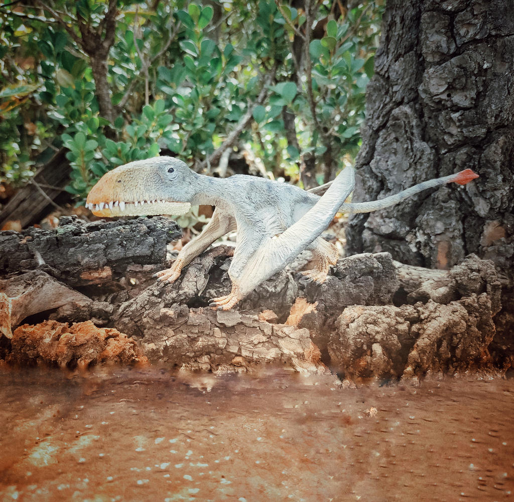 Dimorphodon by Krulos on DeviantArt