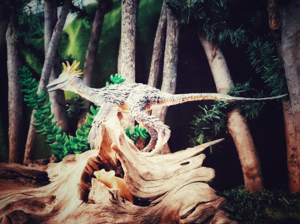 feather raptor.. by Krulos on DeviantArt