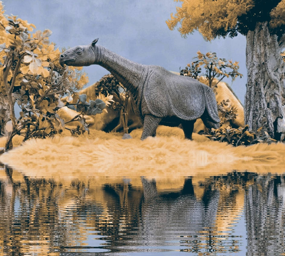 Paraceratherium By Krulos On DeviantArt paraceratherium-by-krulos-on-deviantart