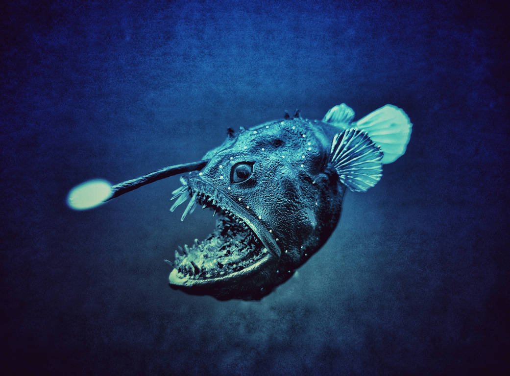 Anoymouse Fish Angler fish by Krulos on DeviantArt