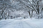 Snow Cold by 77112266
