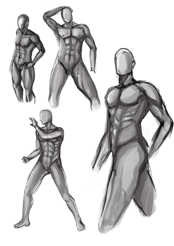 exercise_ male anatomy