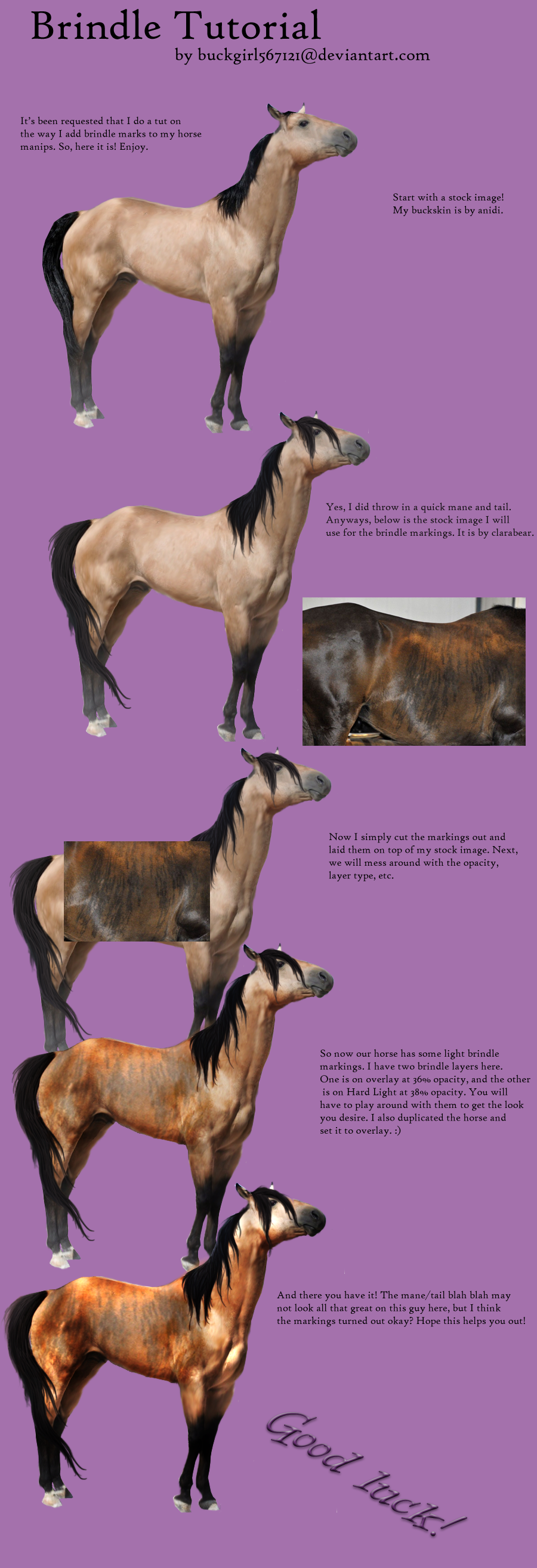 Brindle Tutorial