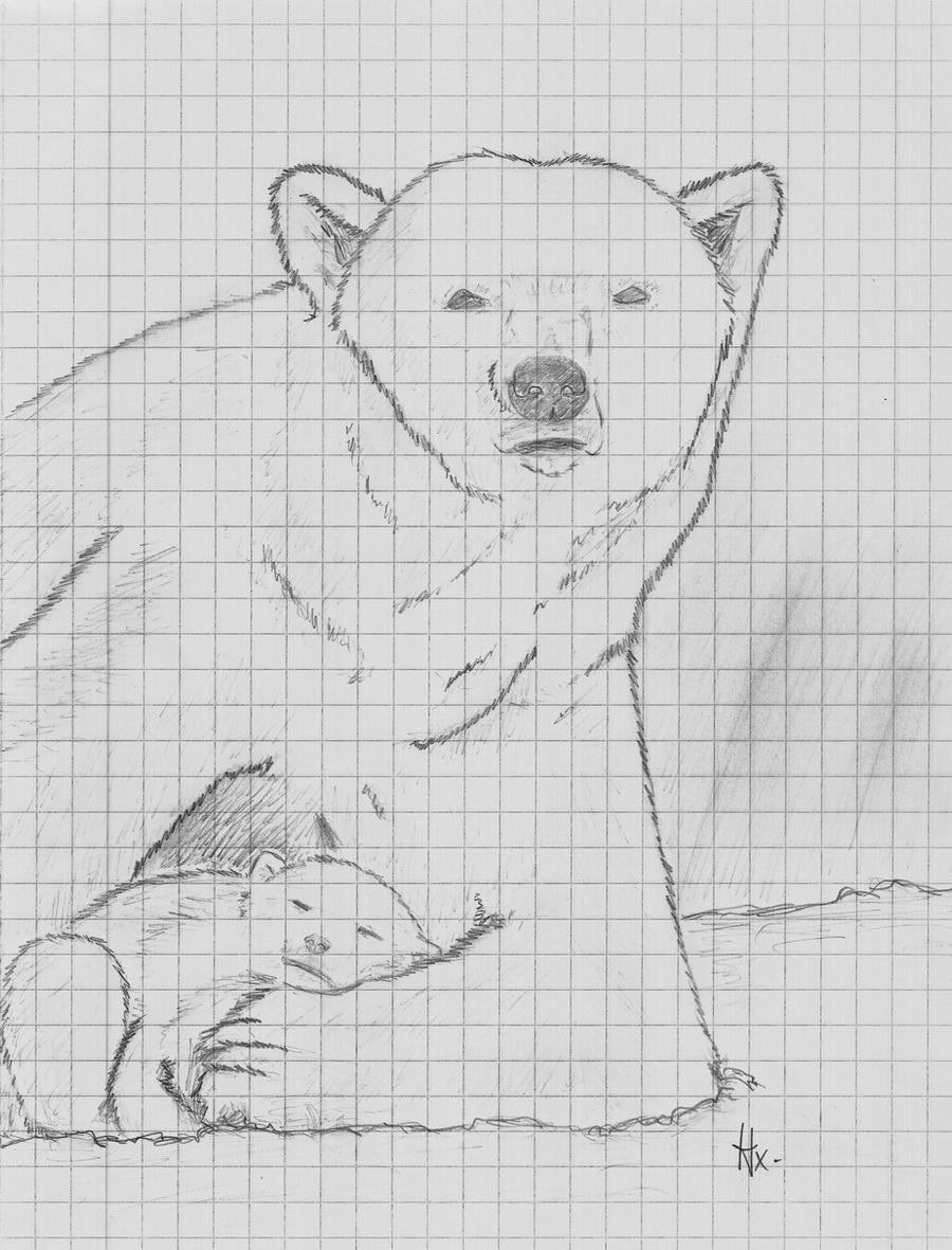 Polar Bear