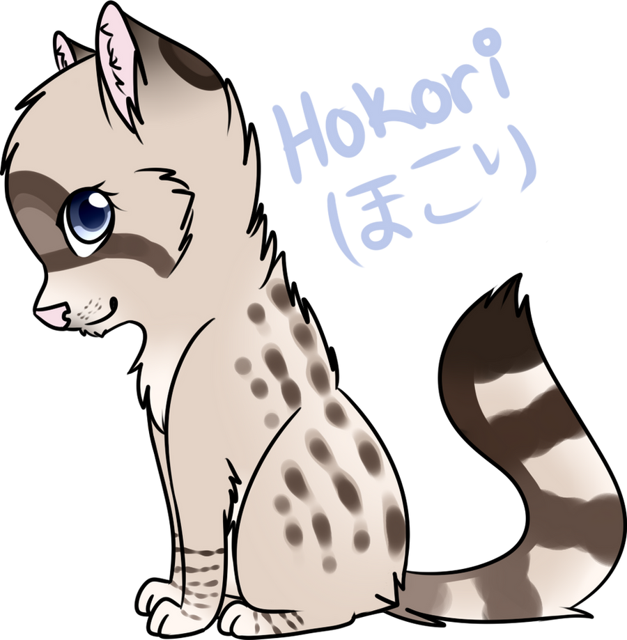 Hokori