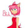 Amy Rose Bruh