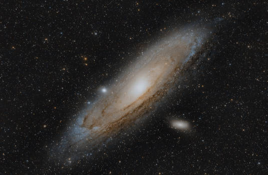 Andromeda Galaxy 2023