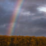 sunset and rainbow