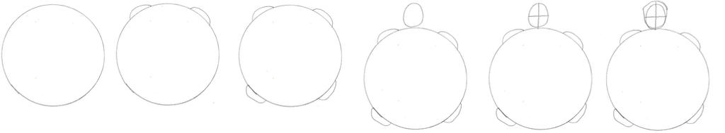 How To Draw Body Inflation