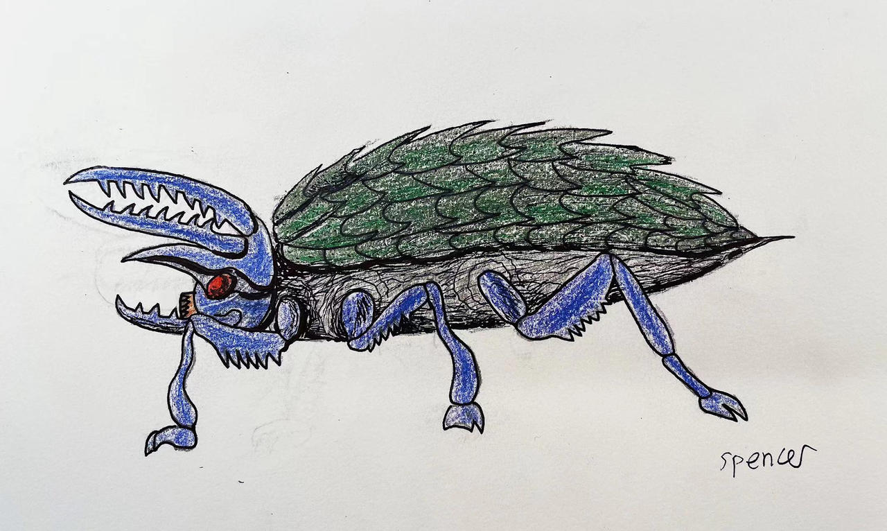 Melee Beetle
