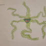 Defenders Of Earth - Geboras