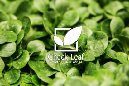 Check Leaf