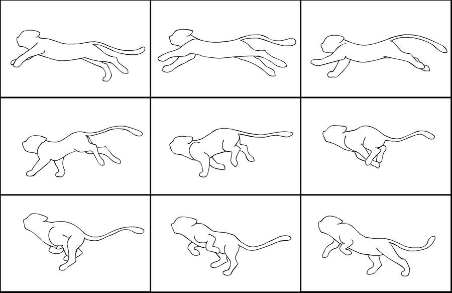 Run Cycle Guide Cat Cat Run Cycle Guide by Juicyfruitgirly on DeviantArt