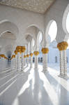 Shk.Zayed.Masjid_1 by Rakan-Dubai