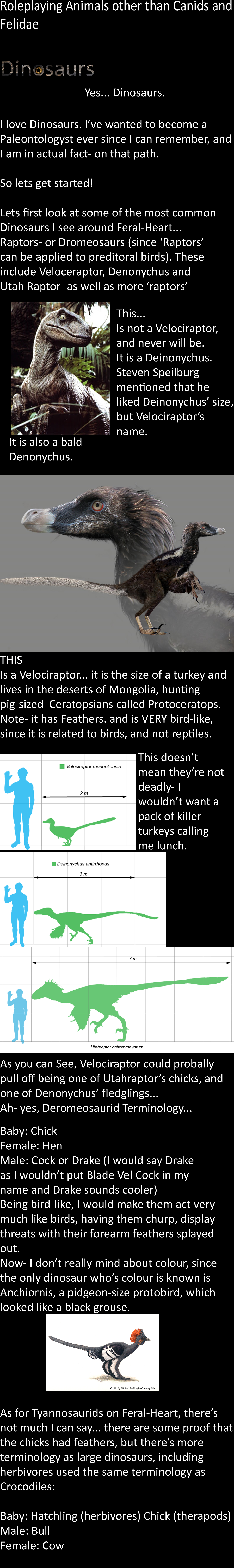 Character Tutorial: Dinosaurs