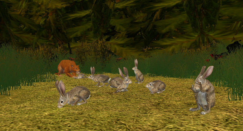 WABBIT WABBIT WABBIT