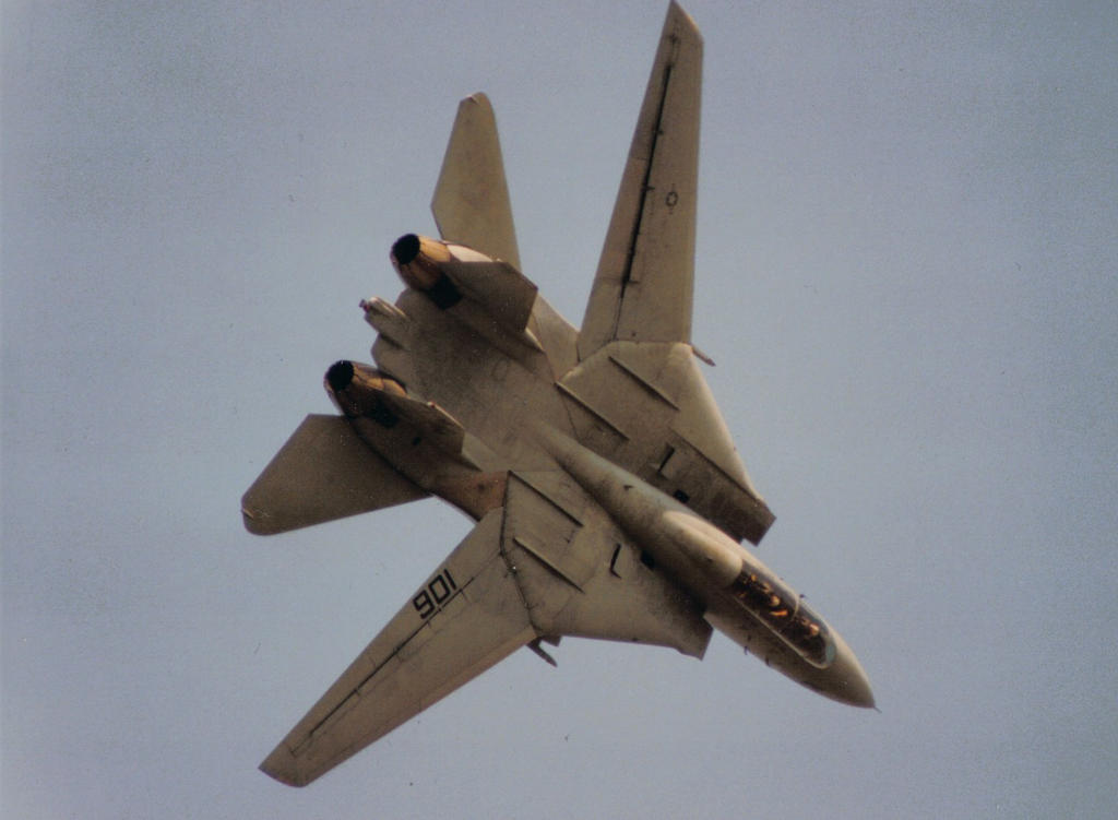 Tomcat