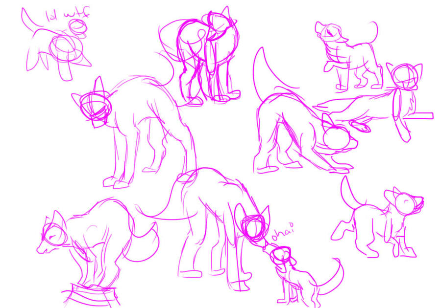 Canine Poses