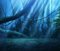 Forest Night