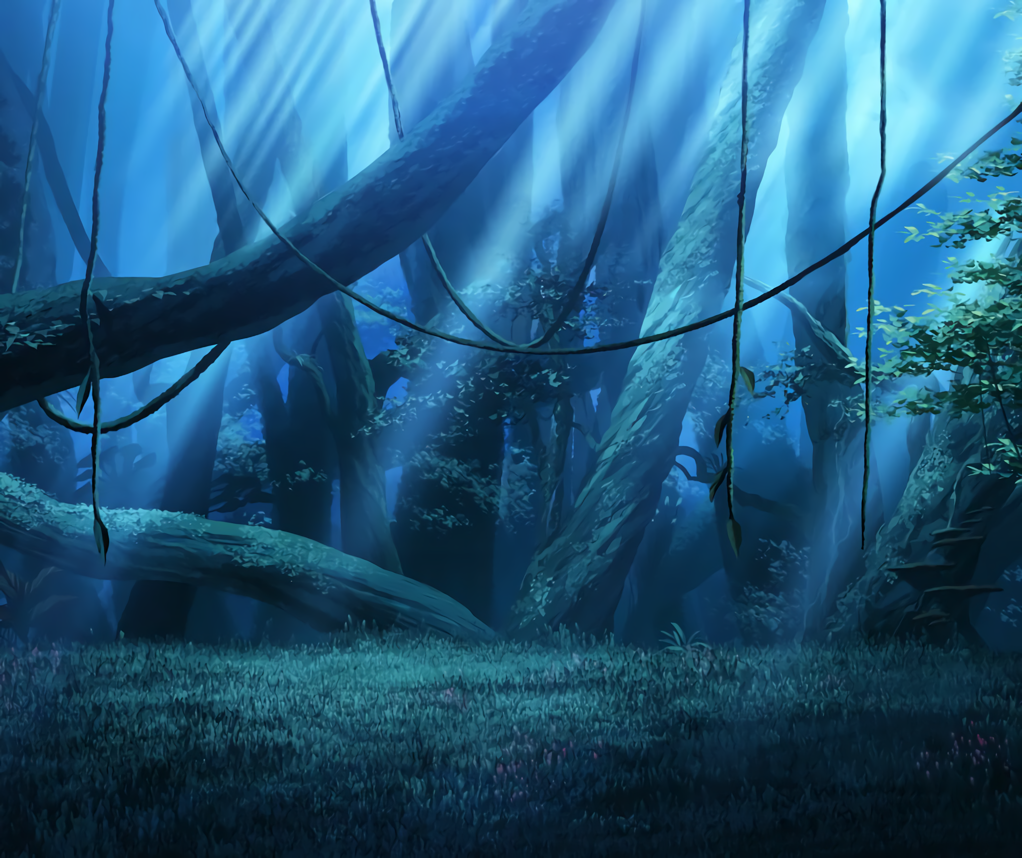 anime forest night