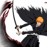 Ichigo Kurosaki Substitute Shinigami