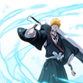 Ichigo Kurosaki Substitute Shinigami