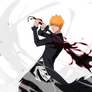 Ichigo Kurosaki Substitute Shinigami