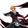 Ichigo Kurosaki Substitute Shinigami