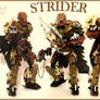 Strider