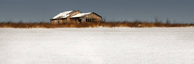 Winter On The Homestead