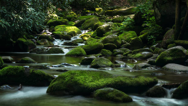 Stream of Mossy Boulders