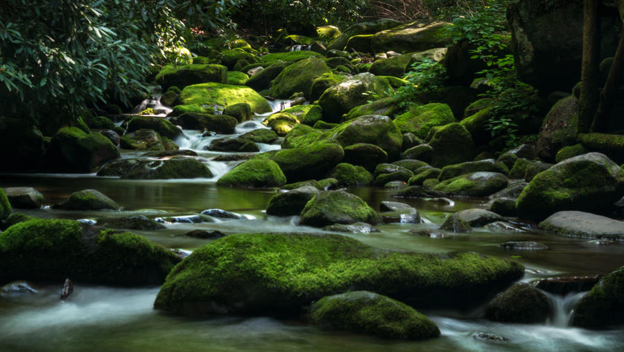 Stream of Mossy Boulders by JonUriah