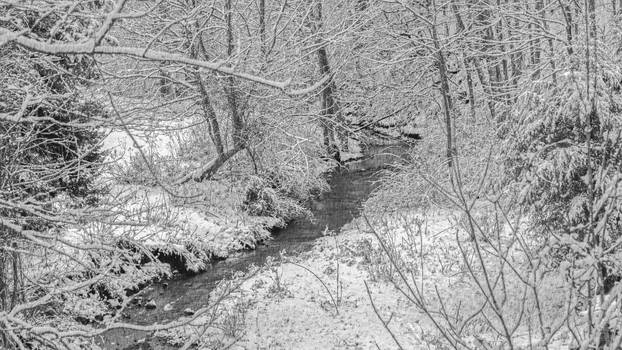 Winter Stream