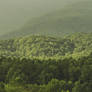 Foggy Morning Mountain Scape