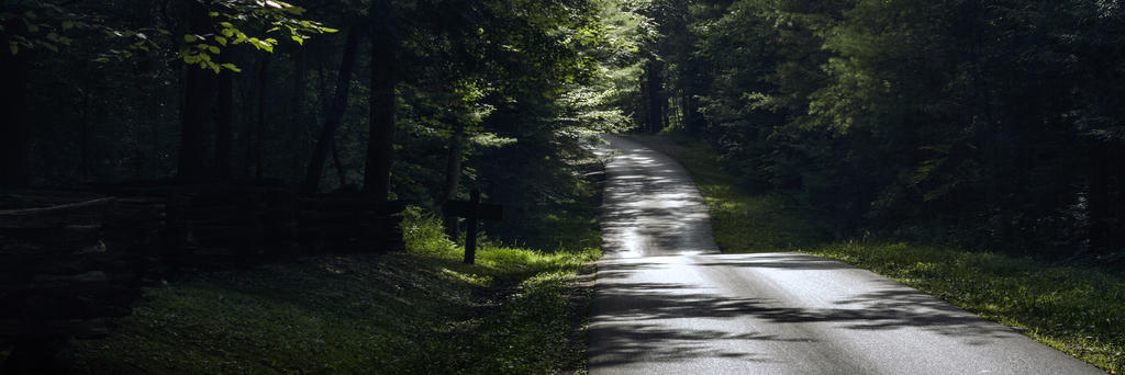 Late Evening On A Mountain Road