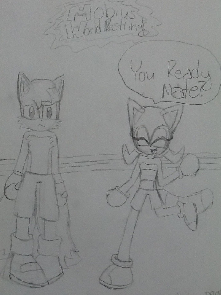 Deviantart Tails Boxing Request: tails and Marine boxing match by Sukithehedgehog on DeviantArt
