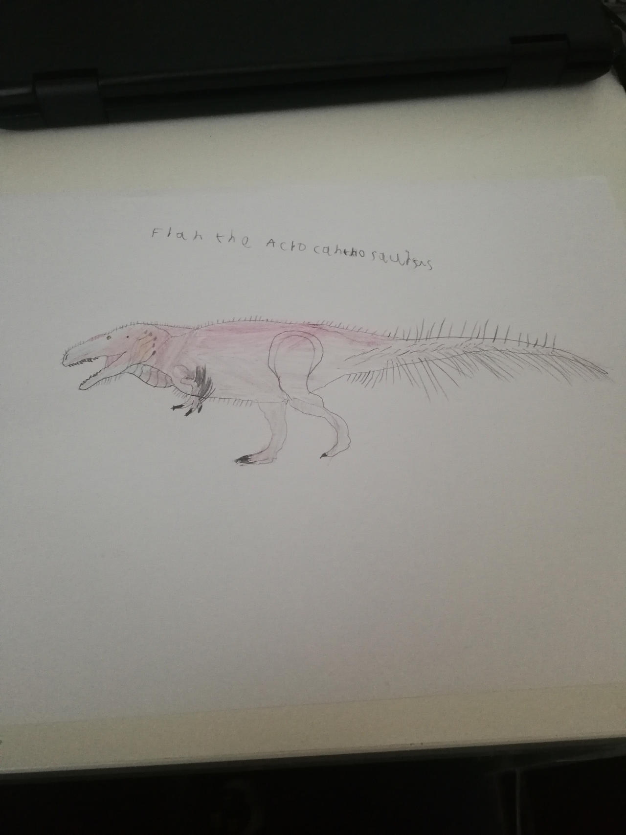 Fran the Acrocanthosaurus by Macrosaurus1 on DeviantArt