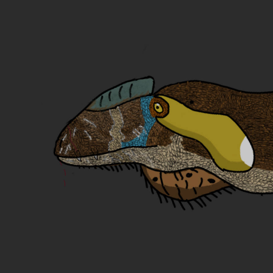 Neovenator Salerii (original) by Macrosaurus1 on DeviantArt