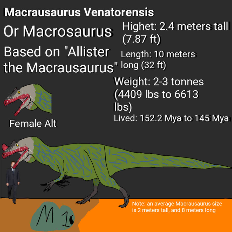 Macrausaurus Venatorensis by Macrosaurus1 on DeviantArt