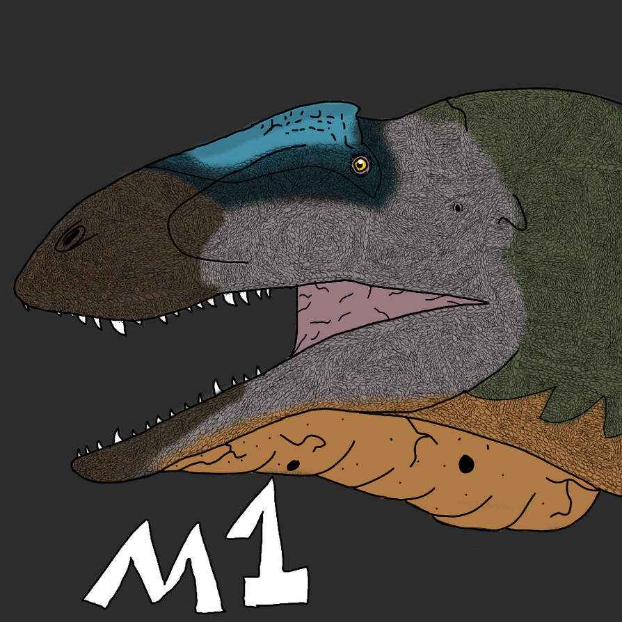 Neovenator Salerii remake by Macrosaurus1 on DeviantArt