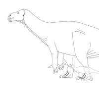 Iguanodon and Hypsilophodon