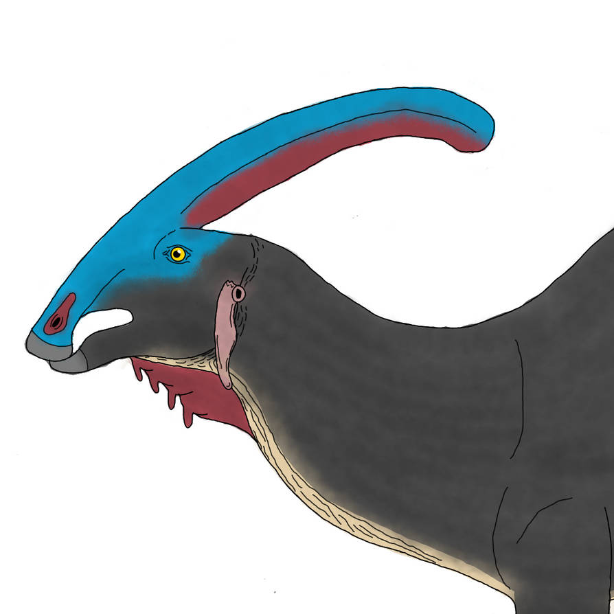 Parasaurolophus by Macrosaurus1 on DeviantArt