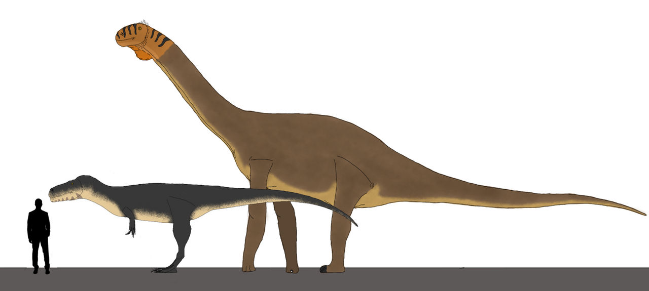 Cetiosaurus and Megalosaurus size comparison by Macrosaurus1 on DeviantArt