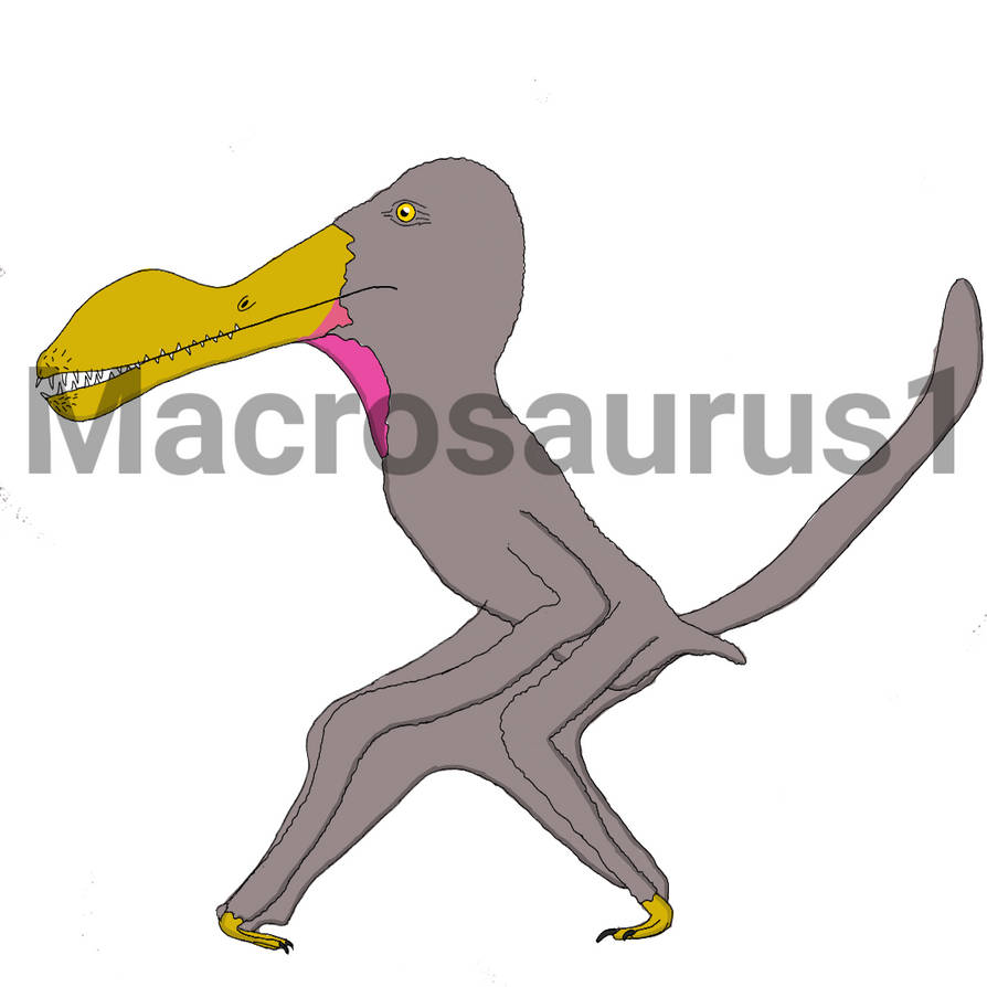Coloborhynchus by Macrosaurus1 on DeviantArt