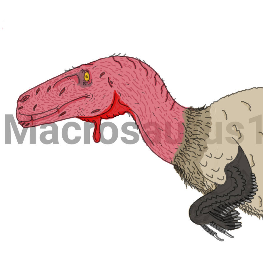 Utahraptor Ostromaysi by Macrosaurus1 on DeviantArt